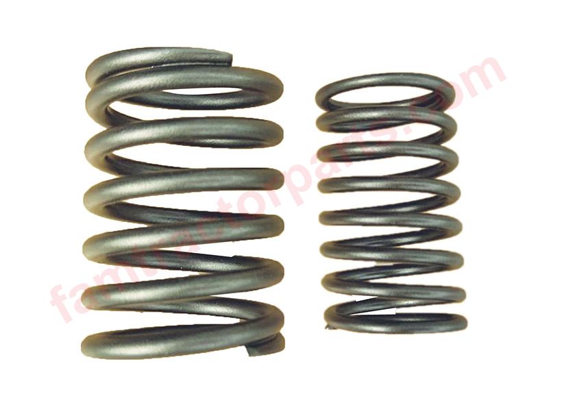 Valve Internal and External Springs